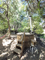 Cabaña Boyenar
